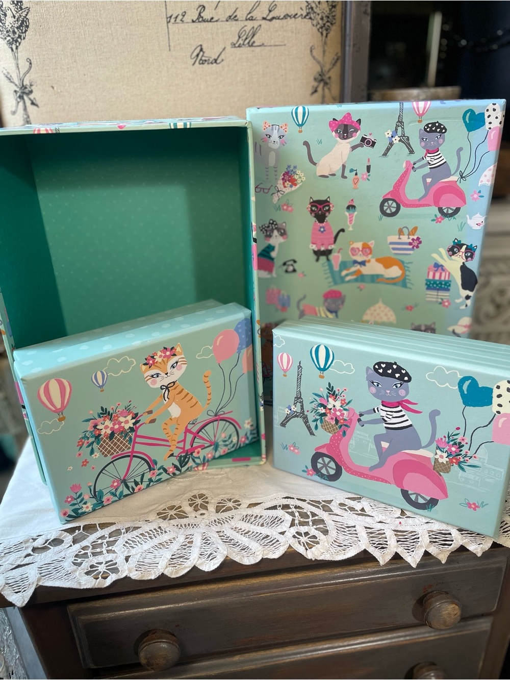 Clementine Parisian cats storage box set